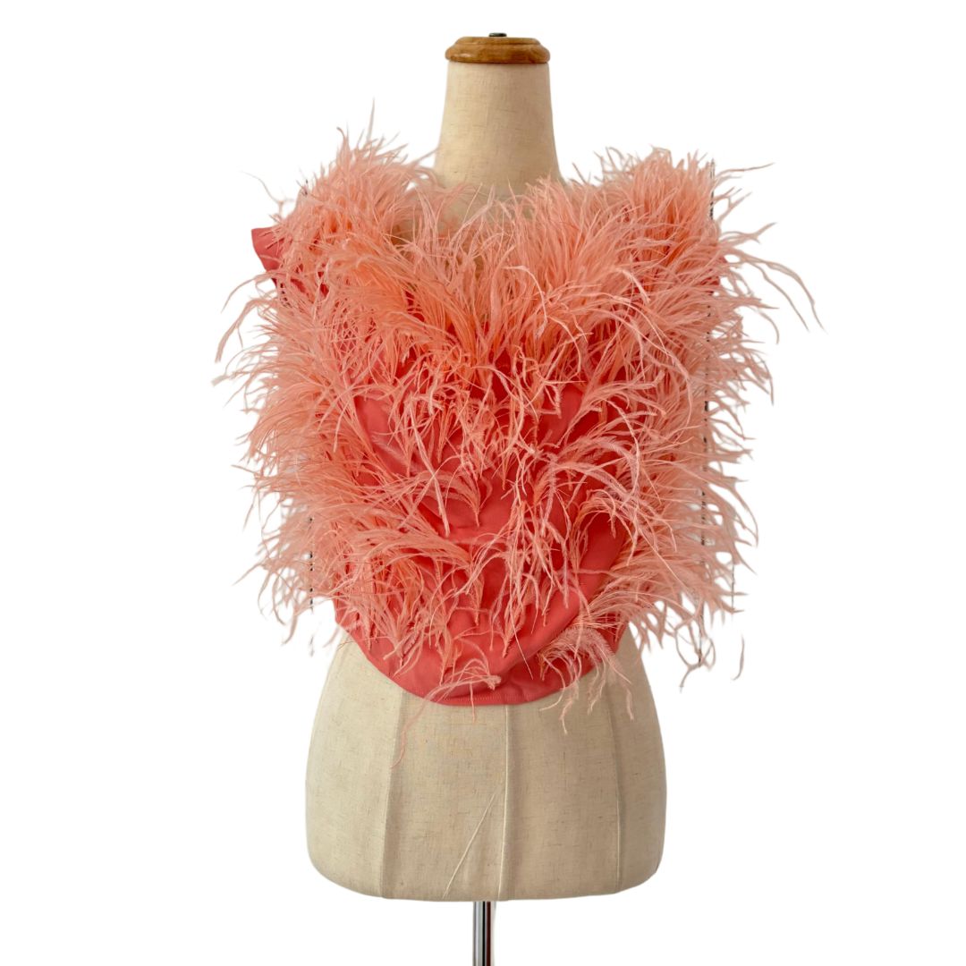 Cult Gaia Pink Ostrich Feather-Detail Crop Off Shoulder Top