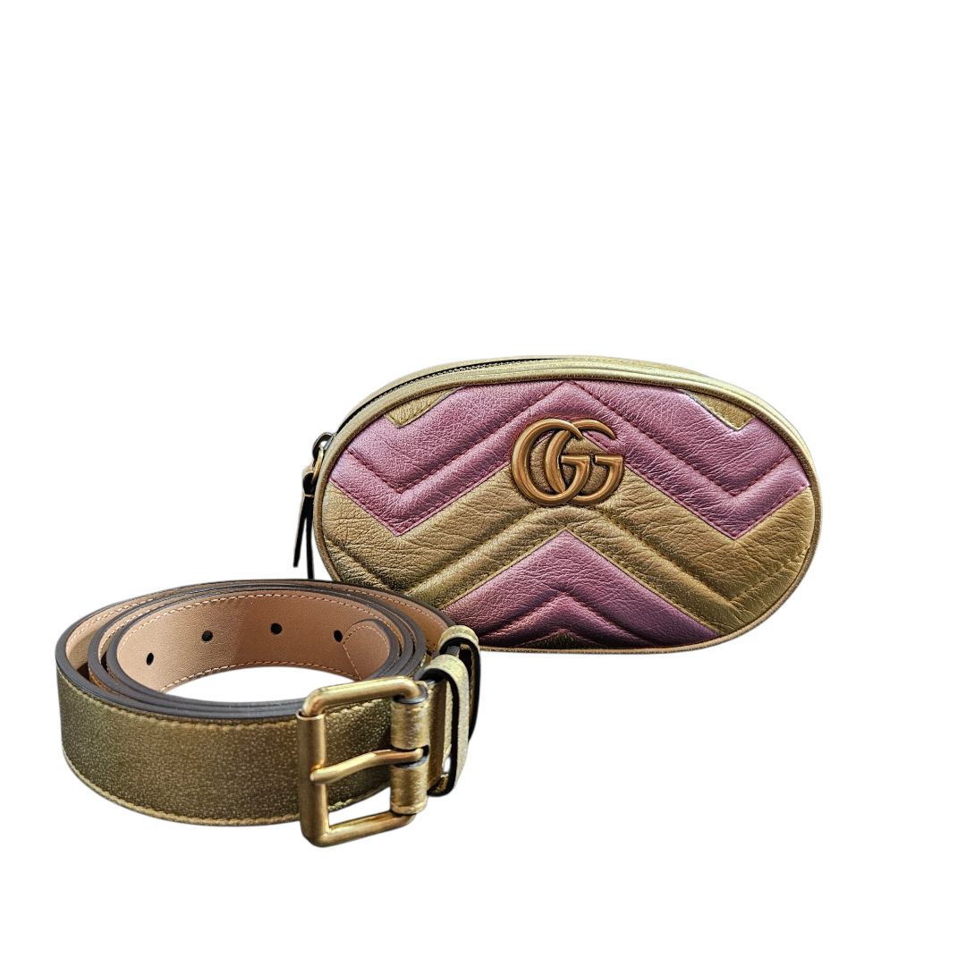 Gucci Bicolor Leather GG Marmont Mini Belt Bag