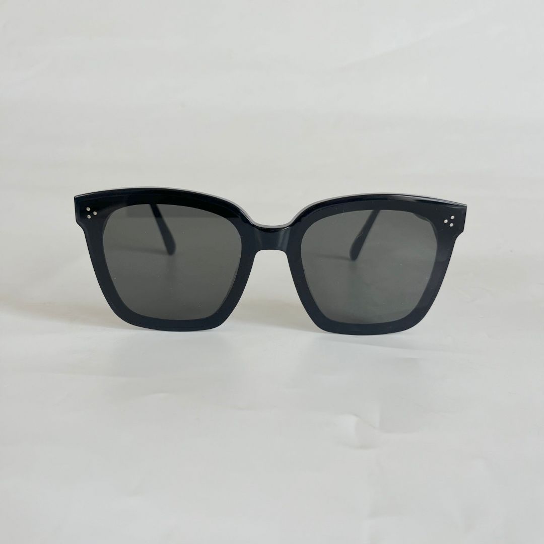 Gentle Monster Black Oversized Sunglasses
