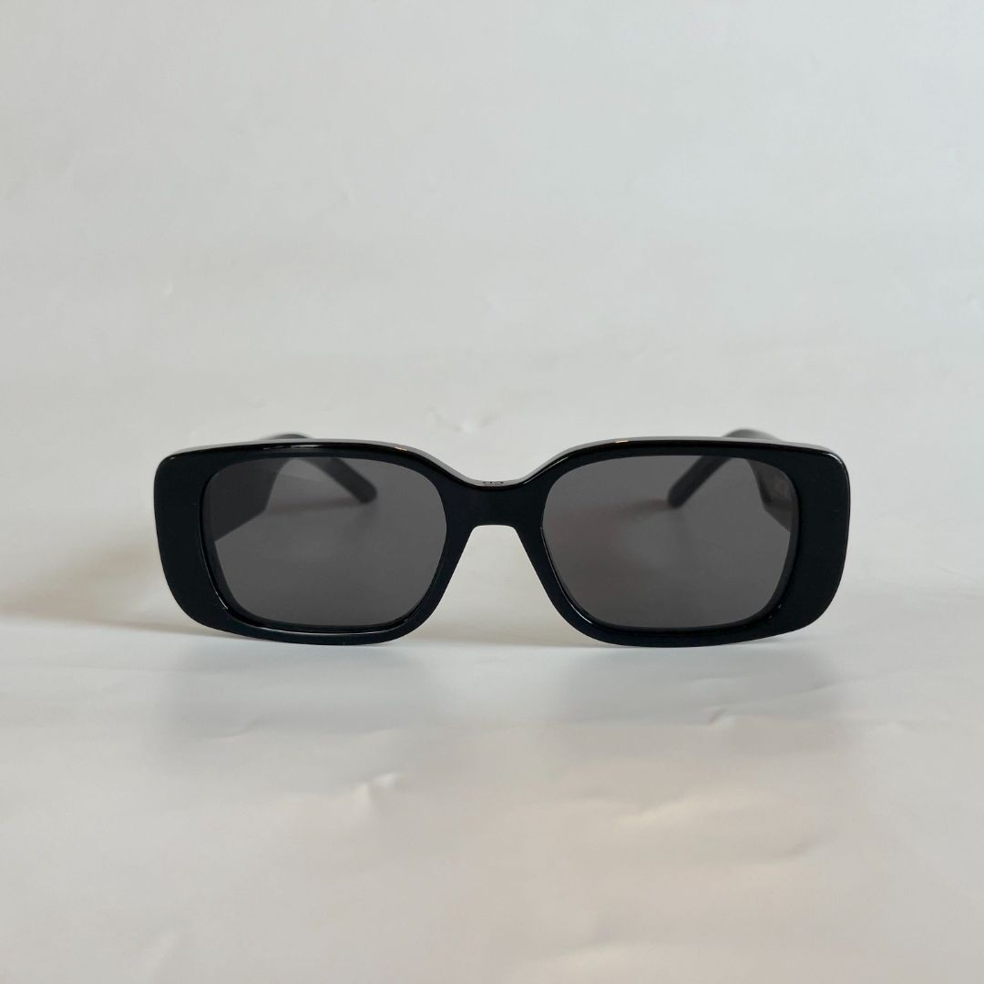 Dior Women's Wildior S2U Sunglasses