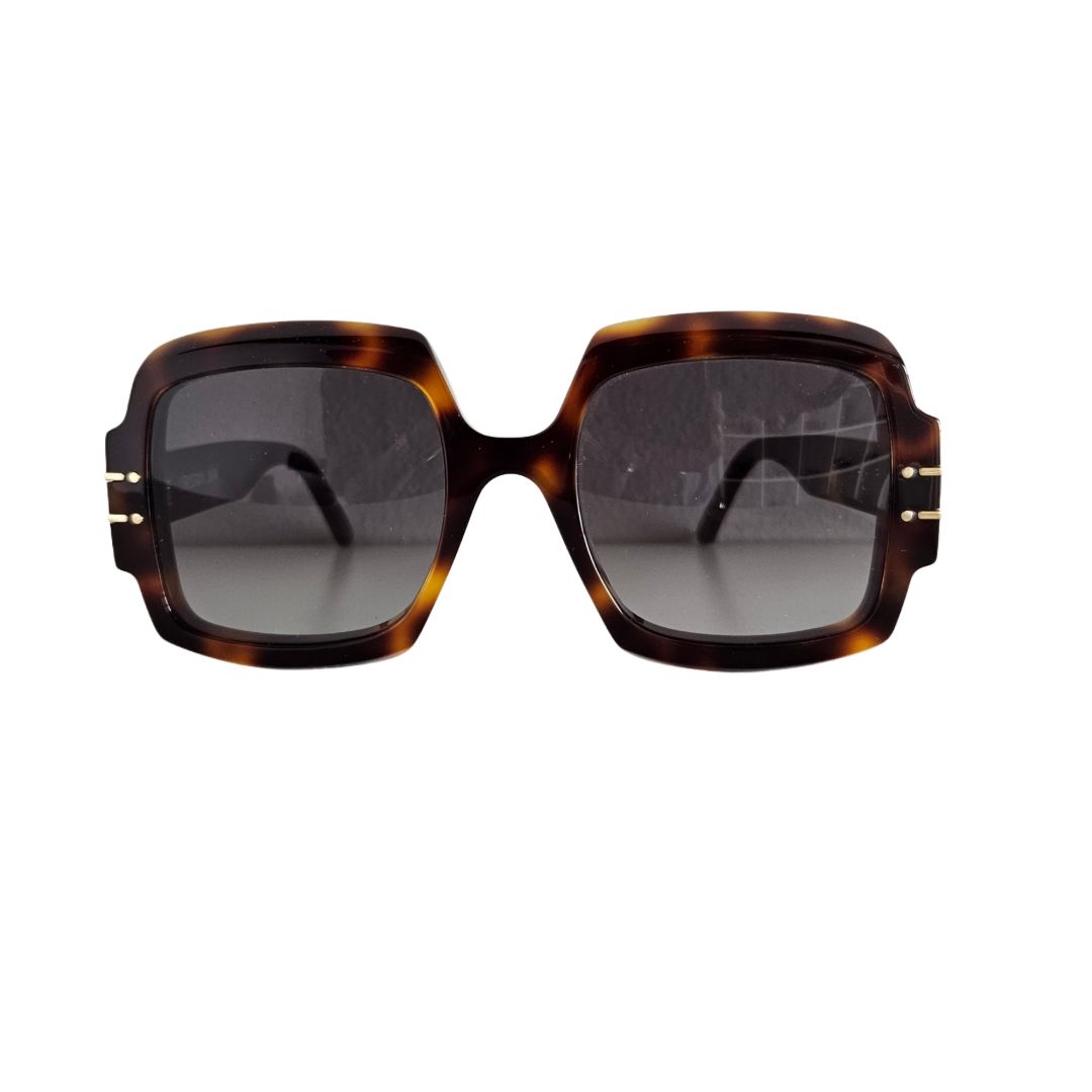Christian Dior Brown S1U Signature Sunglasses