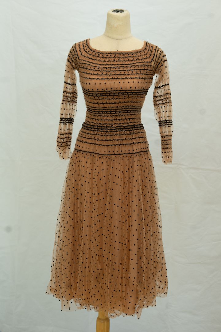 dress mesh portrait Self Portrait Mesh Polka Dot Dress - BOPF