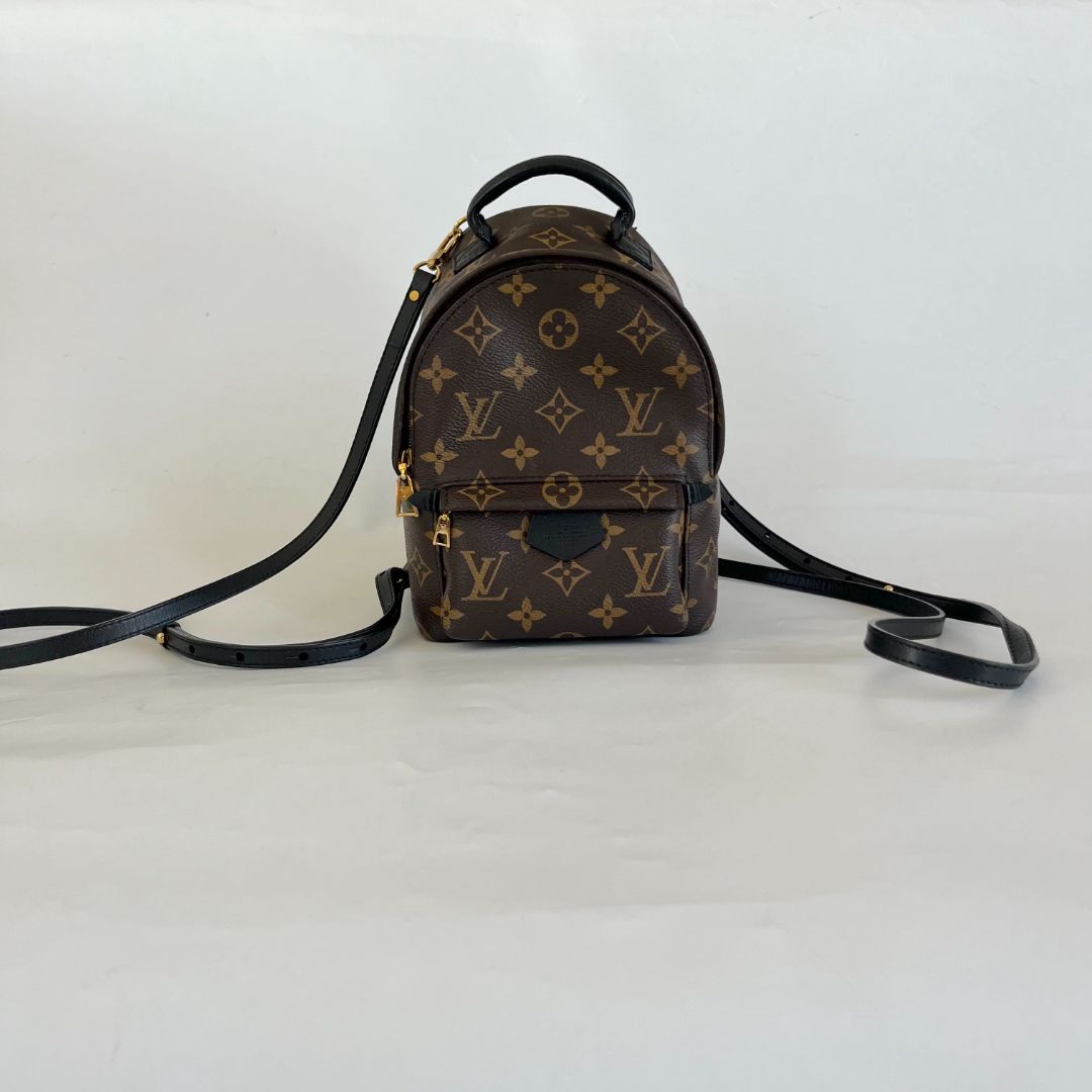 Louis Vuitton Palm Springs Mini Backbag - BOPF