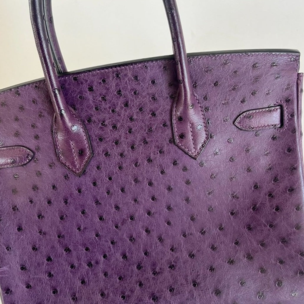 birkin bag purple