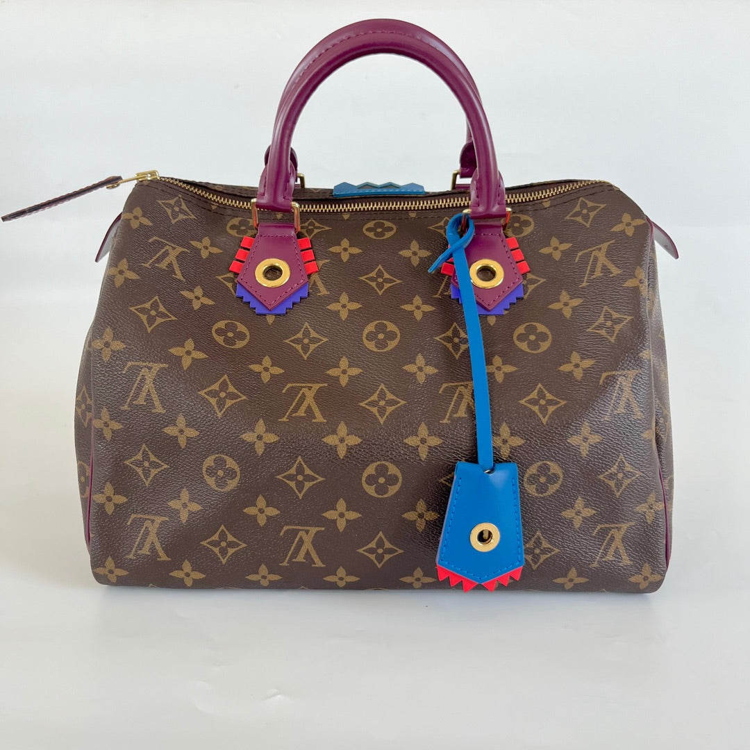 Louis Vuitton Speedy Handbag Limited Edition Totem Monogram Canvas 30