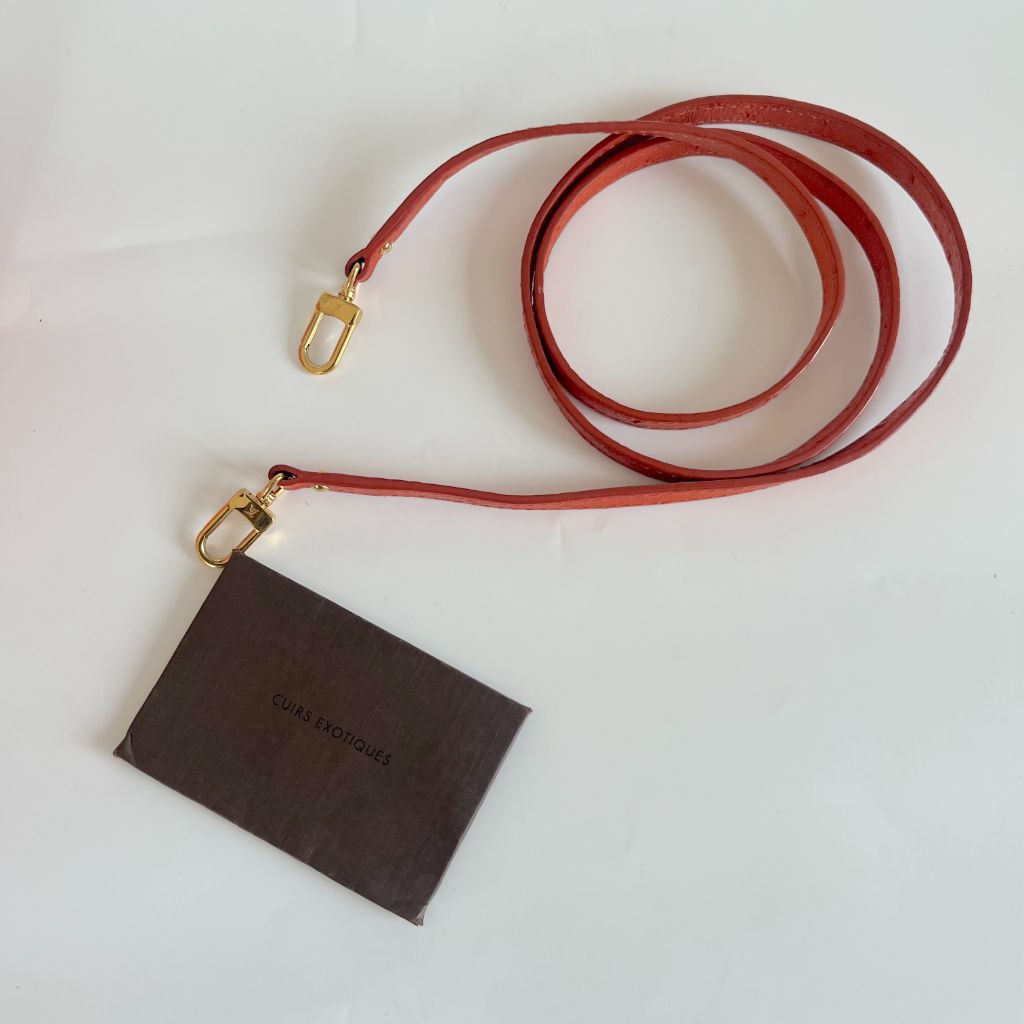 Leather purse Louis Vuitton Orange in Leather - 31534628