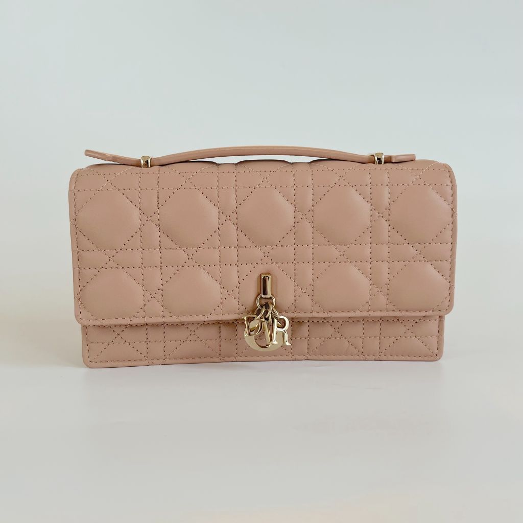 Dior lady dior clutch bag｜TikTok Search