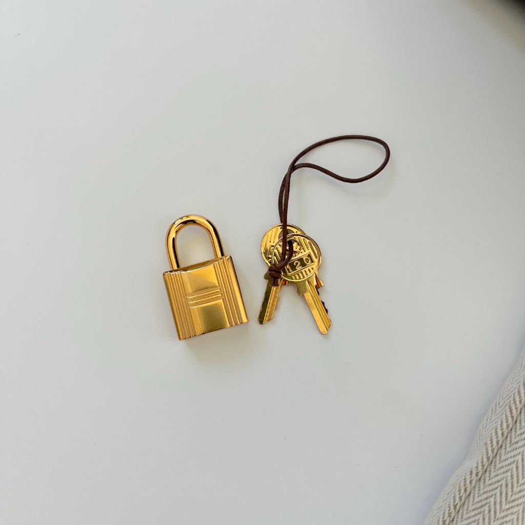 Hermes Picotin 22 Gris Meyer Bag with gold hardware - BOPF